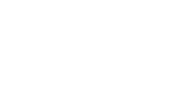 VenicePromex